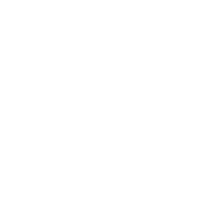 BIG logo