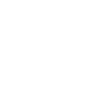 Partizan logo